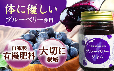 山里のめぐみセット [WBG010] ハチミツ はちみつ ブルーベリー ジャム はちみつ 蜂蜜
