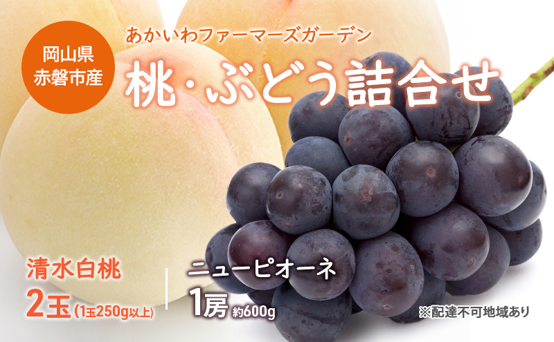 
桃 ぶどう 詰合せ 2024年 先行予約 清水 白桃 2玉（1玉250g以上） ニュー ピオーネ 1房 約600g 岡山県 赤磐市産 フルーツ 果物 あかいわファーマーズガーデン
