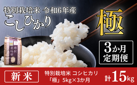 定期便 3ヵ月 コシヒカリ「極」5kg×3ヶ月 特別栽培米 令和6年産 こしひかり こしひかり定期便 お米の定期便 計15kg (コシヒカリ5kg×3個)  白米3か月 新潟県産 特別栽培米 特栽米 精米 お米 【定期便】アグリ巧房【035S009】