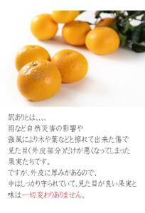 訳あり 八朔 約10kg 大小混合 サイズ不選別 【北海道・沖縄県・一部離島 配送不可】 海南市産 まごころ産直みかん 木成り 完熟はっさくフルーツ 和歌山 国産 産地直送［Mg69］