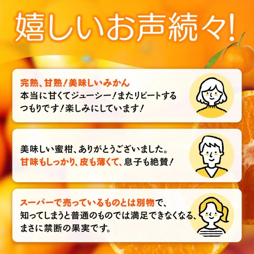 【先行予約】完熟早生みかん　宮川早生３kg※2026年12月から順次発送予定※ 【期間限定・12/20まで受付】/ 和歌山県 ミカン フルーツ 果物 柑橘 田辺市 【nak005-1】
