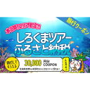 【ふるさと納税】【本部町】しろくまツアーで利用可能なWEB旅行クーポン（3万円分）