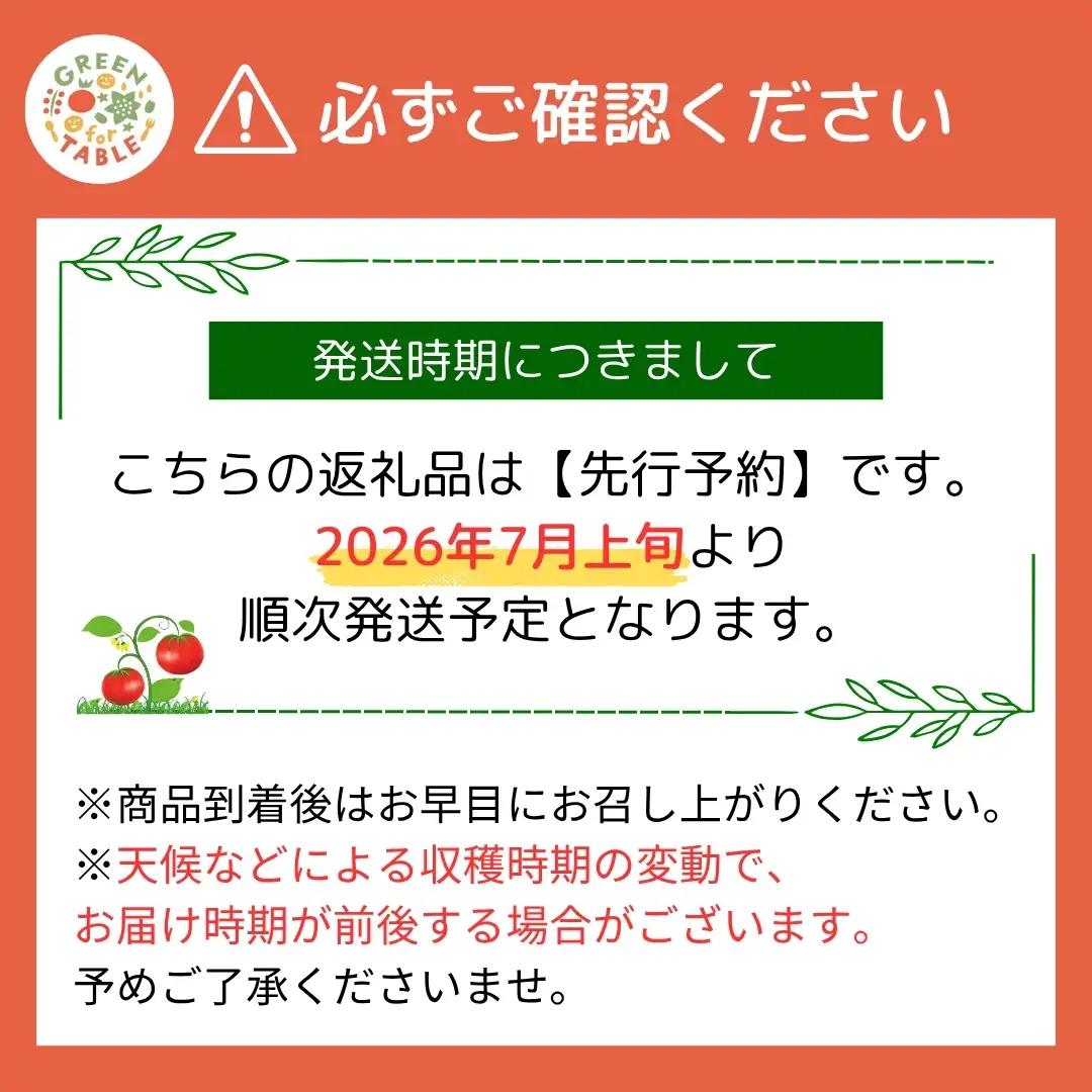 美粒トマト ミニトマト サンチェリー 1kg 2026年7月発送 トマト 新鮮 採れたて フレッシュ 野菜 農家直送 1キロ 人気 福島県 田村市 田村 GREEN for TABLE