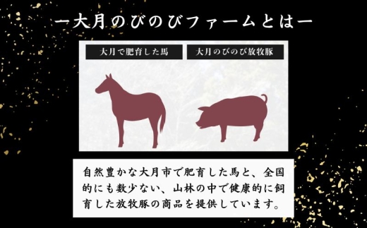 赤身の馬刺し モモ 300g以上