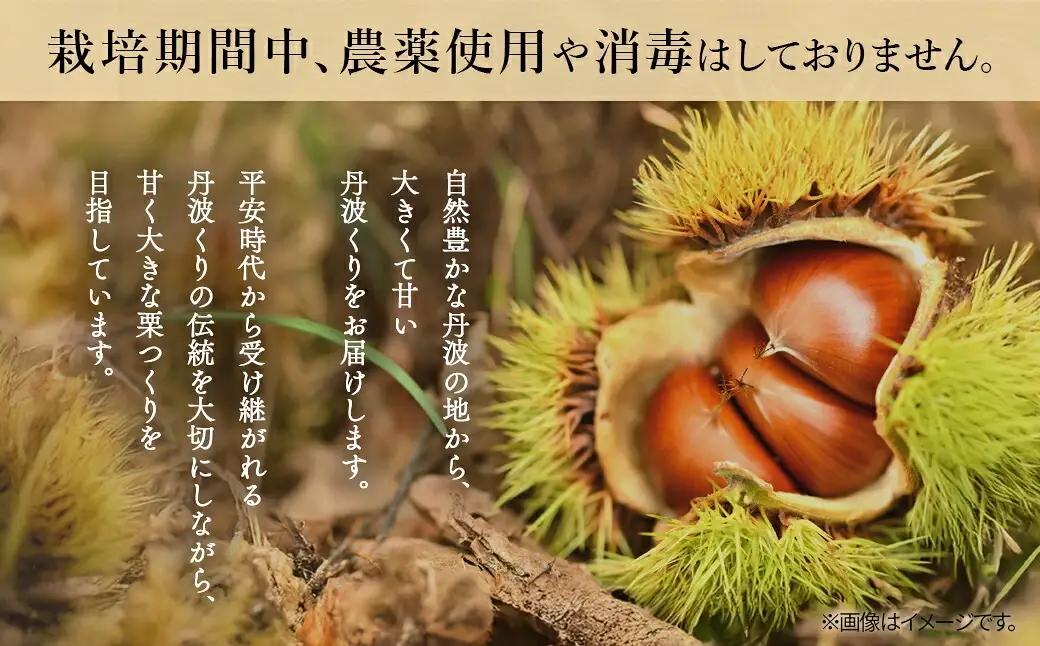 京都丹波 丹波くり むき栗 筑波 銀寄 計450g Lサイズ 丹波かなまろんふぁーむ
