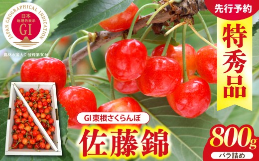 【2027年産】GI 東根さくらんぼ 佐藤錦 800g バラ詰め L以上 特秀品 山形県 東根市 ティスコファーム提供 hi089-010-r9 サクランボ フルーツ 果物 くだもの  佐藤錦 期間限定 先行受付 化粧箱入り 冷蔵配送 グルメ ご当地 特産直送