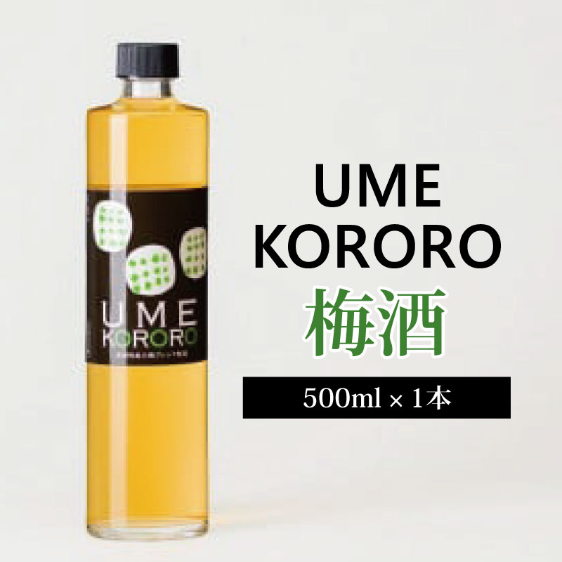 【ふるさと納税】梅酒 ウメココロ 500ml 1本 梅 うめ 果物 フルーツ うめしゅ 酒 果実酒 さけ ビール ハイボール チューハイ 焼酎 日本酒 ウイスキー ワイン ギフト 贈答 プレゼント お取り寄せ グルメ 送料無料 徳島県 吉野川市