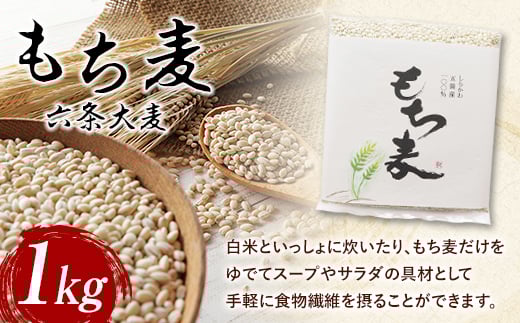 もち麦（六条大麦）1kg  もち米 食品 F21R-759