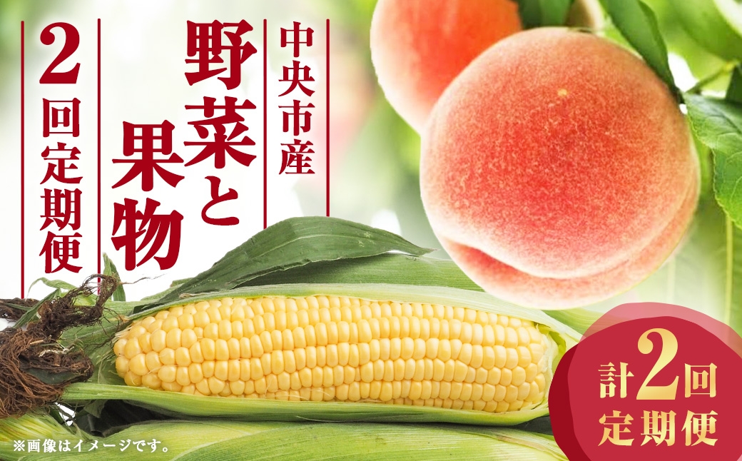 
                  【 2回定期便 】 中央市産 とうもろこし、もも くだもの 果物 フルーツ 野菜 やさい ピーチ コーン 旬のお野菜 旬の果物 モモ 桃 国産 山梨県産 定期便 【 2026年6月下旬～7月下旬発送予定 】
                