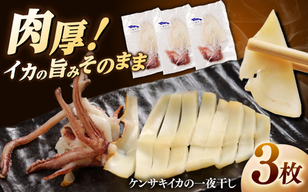 日本海産 いか 味付け 一夜干し 3枚セット おつまみ [ALDY006] 