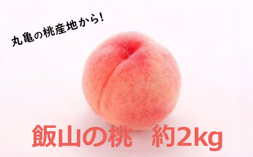 
            【先行予約】桃 約 2kg もも モモ 白桃 ピーチ 果物 くだもの フルーツ 果実 飯山の桃 旬 新鮮 箱入り 冷蔵 贈答 ギフト プレゼント お中元 香川県丸亀市
          
