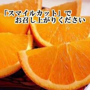 2025年2月発送開始　柑橘の大トロ!「せとか」約5キロ　限定250個【訳あり品】【C39-52】【1464339】