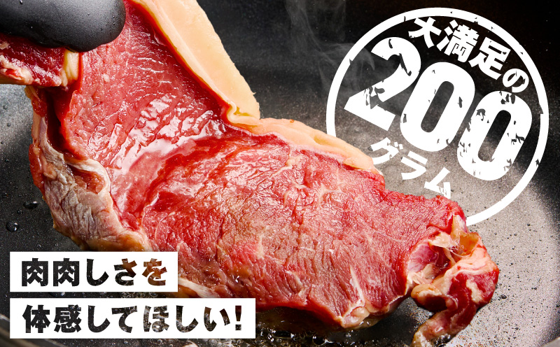 牛肉 ロースステーキ 600g【氷温熟成×極味付け 約200g×3枚  訳あり サイズ不揃い 小分け 焼くだけ】