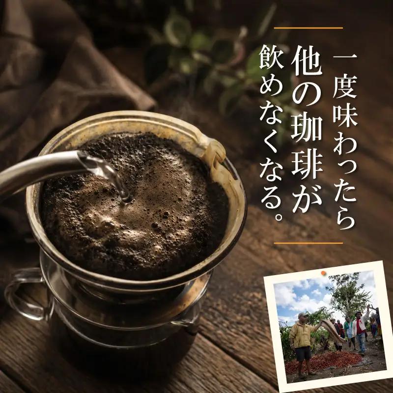 013-34　自家焙煎珈琲MUSUBIコーヒー豆COFFEEコーヒー豆ブルーマウンテンNo.１＆トラジャ・カロシ＜豆＞ コーヒー豆