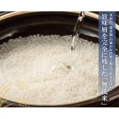Y17-86 無洗米 元気つくし10kg定期便(毎月・年12回)