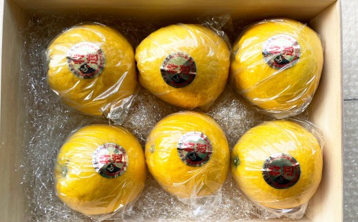 くまモン木箱入り 河内晩柑 6玉