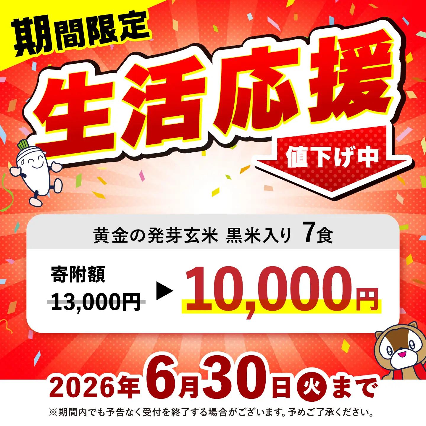 期間限定価格 パックご飯 玄米 125g×7食 [CGV0001] 米