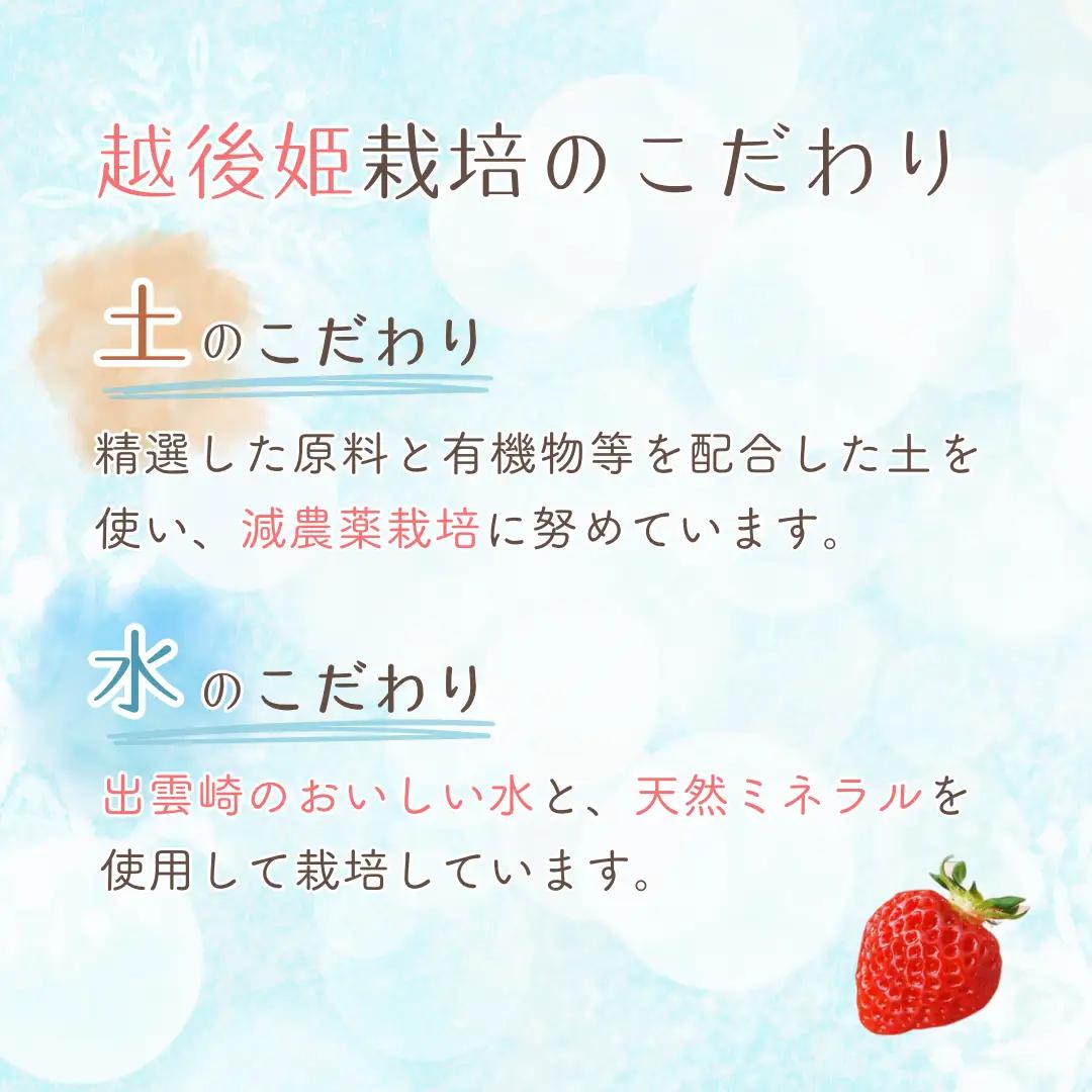 冷凍いちご 越後姫 冷凍イチゴ１kg | 苺 イチゴ ストロベリー