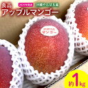 【ふるさと納税】2025年発送【沖縄やんばる産】約1kg　良品アップルマンゴー（Ms mango farm） 南国 南国フルーツ 先行予約 期間限定 沖縄 甘味 糖度 フルーツ 果物 果実 プレゼント ギフト トロピカル 数量限定 予約 おすすめ くだもの 太陽 やんばる 自然