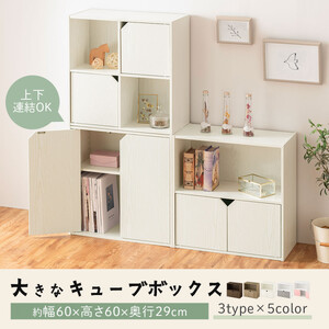 【完成品でお届け】収納ボックス〔Cタイプ〕（ピンク×ホワイト）収納棚 扉付き キャビネット ラック 棚 カラーボックス スリム 2段 可動棚 本棚 収納家具 リビング LKANET300248-C-P