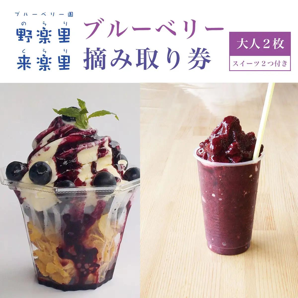【先行予約】ブルーベリー園のらりくらり摘み取り券（大人２枚）スイーツ（２名様分）  KCA006