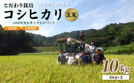 【R7年産 新米先行予約】 京都府産 低農薬 有機栽培コシヒカリ玄米 10kg 玄米