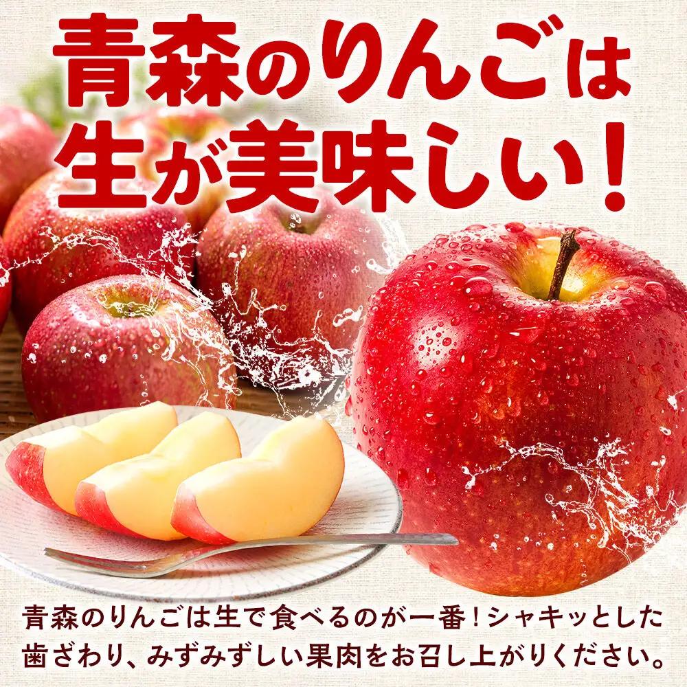りんご 葉取らず ふじ 贈答用 約5kg【4月クール便発送】りんご