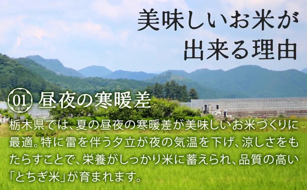 栃木県鹿沼市産 とちぎの星 無洗米 5kg 令和7年産 | 水稲うるち精米 単一原料米 お米 特A 大粒 甘さ ※沖縄・離島への配送不可