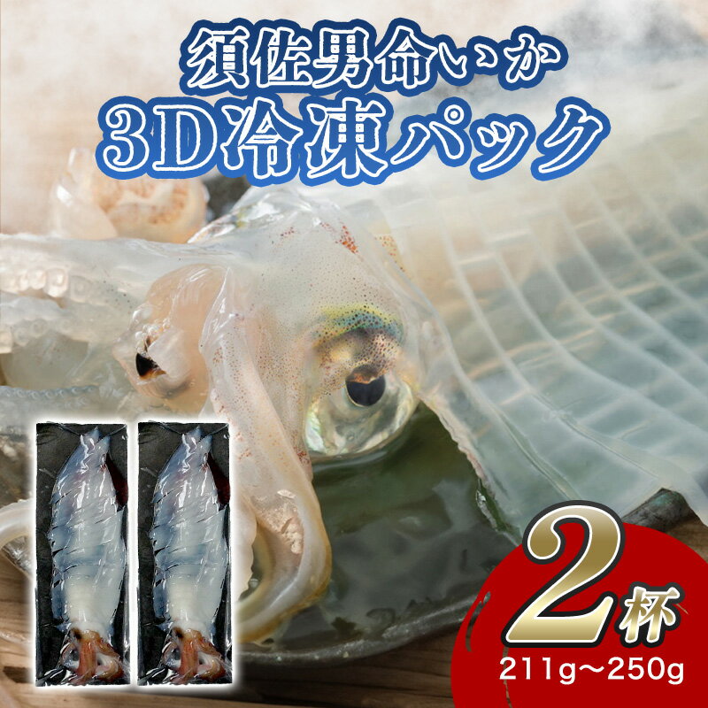 【ふるさと納税】自宅で透明感を再現！須佐男命いかの姿造り（刺身）特殊冷却「3D冷凍」パック 2個セット 国産 日本産 食品 グルメ 料理 冷凍 冷凍食品 おかず 惣菜 お弁当 非常食 保存食 ご飯のお供 ごはん ご飯 食卓 山口県 萩市 美味しい おいしい プレゼント ギフト