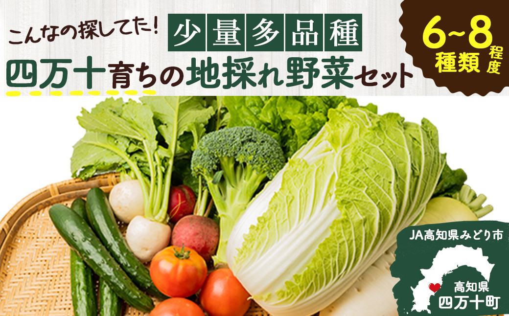 こんなの探してた！【少量多品種】四万十育ちの地採れ野菜セット