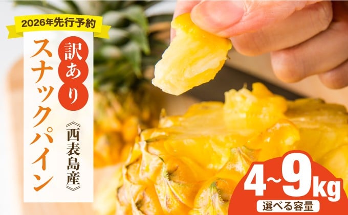 
            【選べる内容量】＜訳あり！＞2026年先行予約　大きさ不揃いお得！箱にいっぱいスナックパイン4kg/9kgセット
          