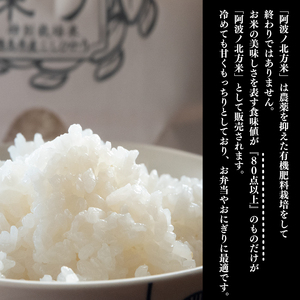コシヒカリ 定期便 5kg 3回 令和7年産 阿波ノ北方米 1等 米 お米 お米