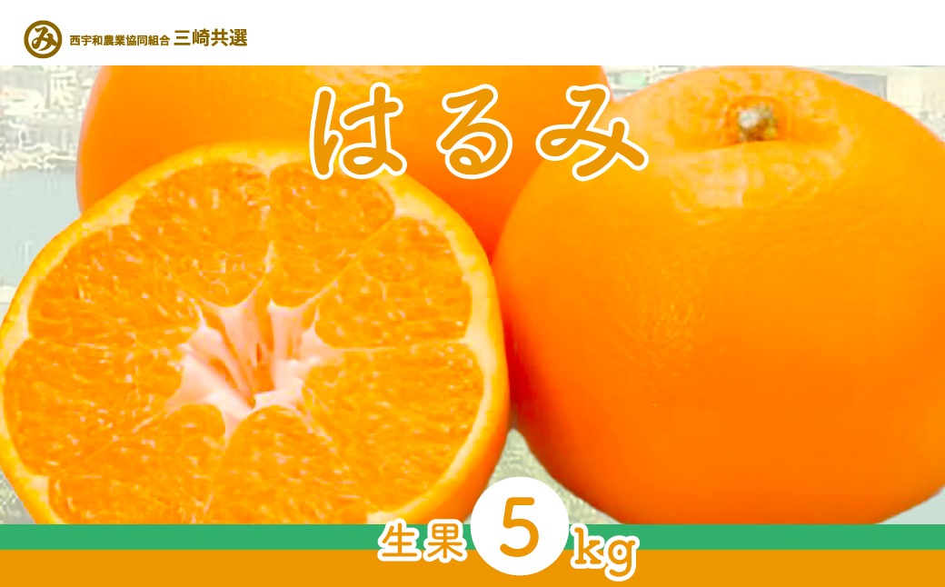 【先行予約】【数量限定】はるみ（生果5kg）※離島への配送不可（2027年1月下旬～2月上旬頃より順次発送予定） IKTBD009
