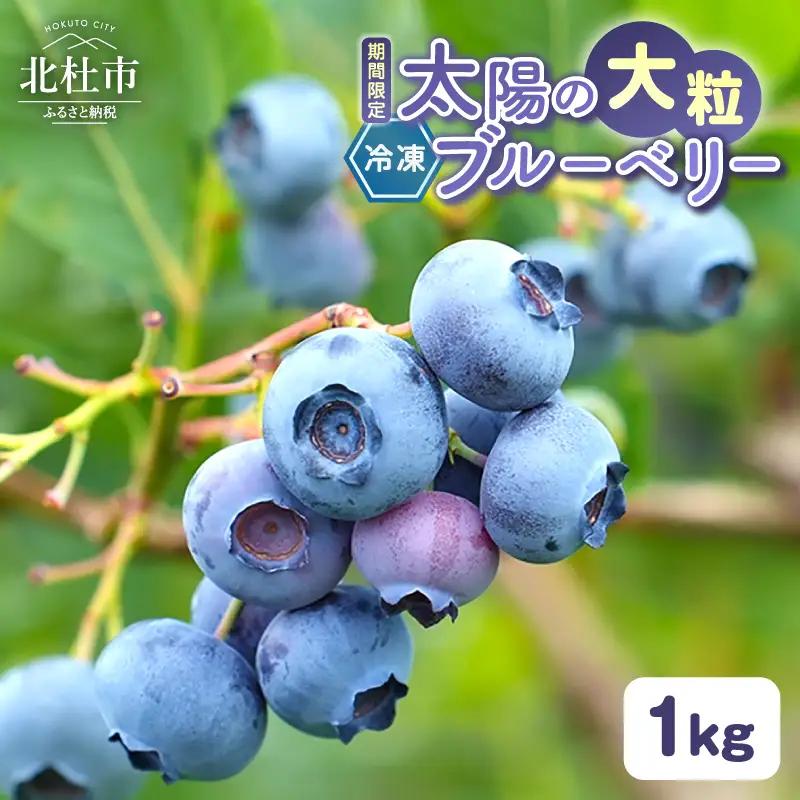 冷凍 ブルーベリー 大粒 ベリー 1,000g [h290]