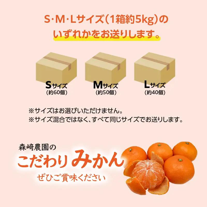 森﨑農園のこだわりみかん 約5kg 極早生～ 早生～蔵出しまで C09023