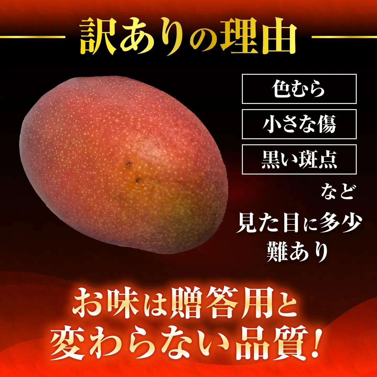 【2027年発送】マンゴー 訳あり 2kg マンゴー 沖縄 BCAN004