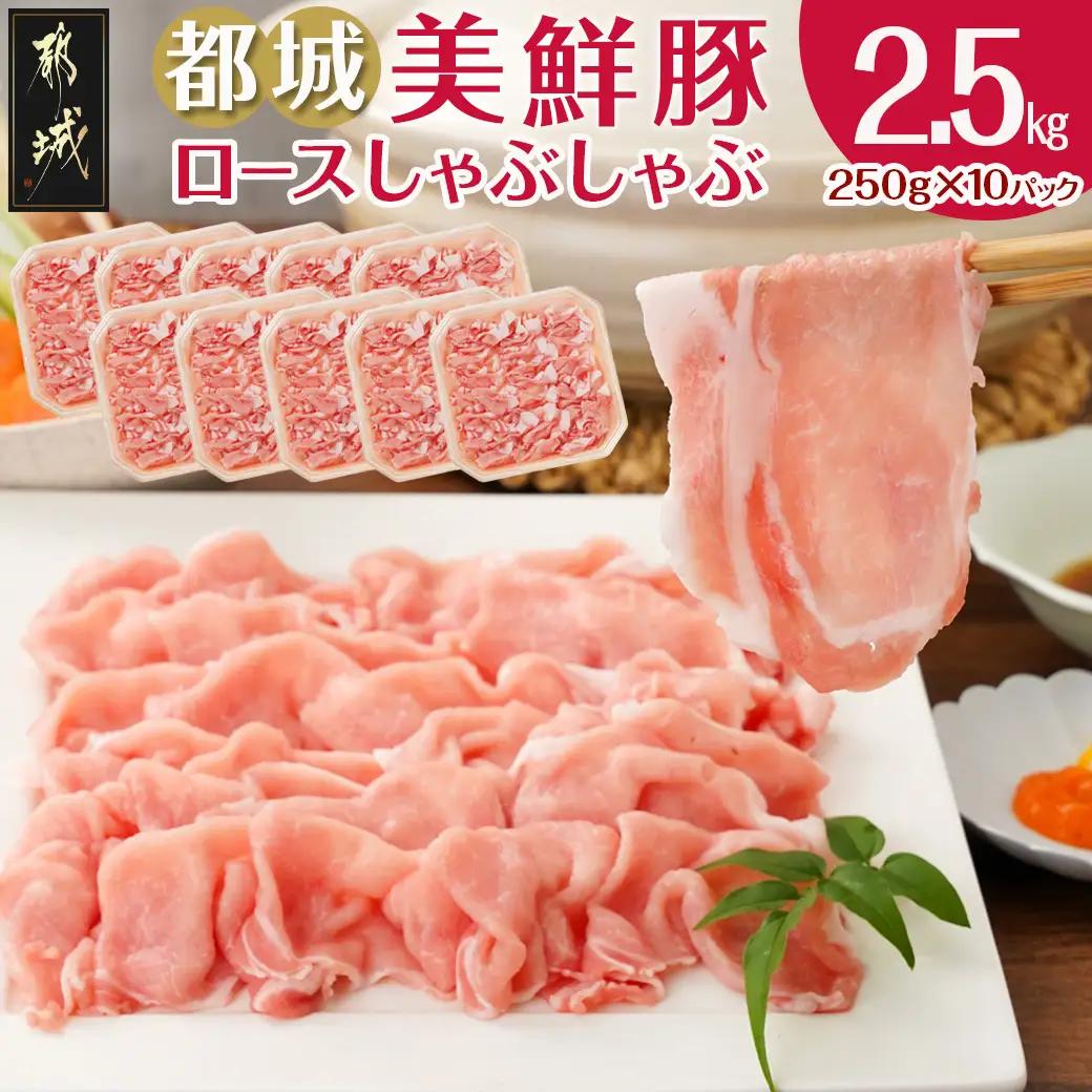 都城美鮮豚ロースしゃぶしゃぶ2.5kg(250g×10パック)_AC-5405_(都城市) 豚肉 ミルフィーユ鍋 しゃぶしゃぶ 炒め物 丼物 アレンジ豊富 パック詰め 