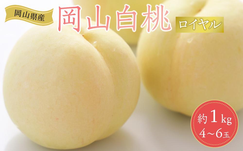 岡山県産 桃 岡山白桃 2025年 先行予約 ロイヤル 約1kg（4～6玉）もも モモ フルーツ 果物 ギフト