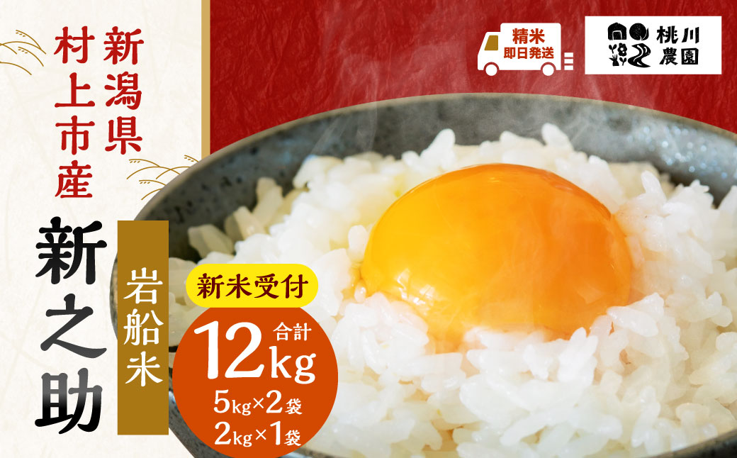 【新米受付・令和6年産米】NB4073 新潟県村上市産　新之助12kg