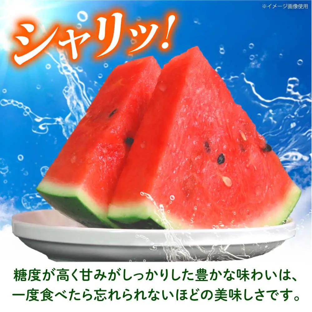 先行予約 大玉スイカ約7kg以上(1玉)ZEM004