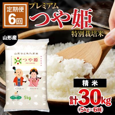 ふるさと納税 山形市 【定期便6回】プレミアムつや姫(特別栽培米) 5kg×6ヶ月(計30kg) FZ22-809