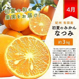 定期便【全3回/1・4・7月】紀州和歌山産旬の柑橘定期便 (みかん・なつみ・バレンシア) 【tkb378】