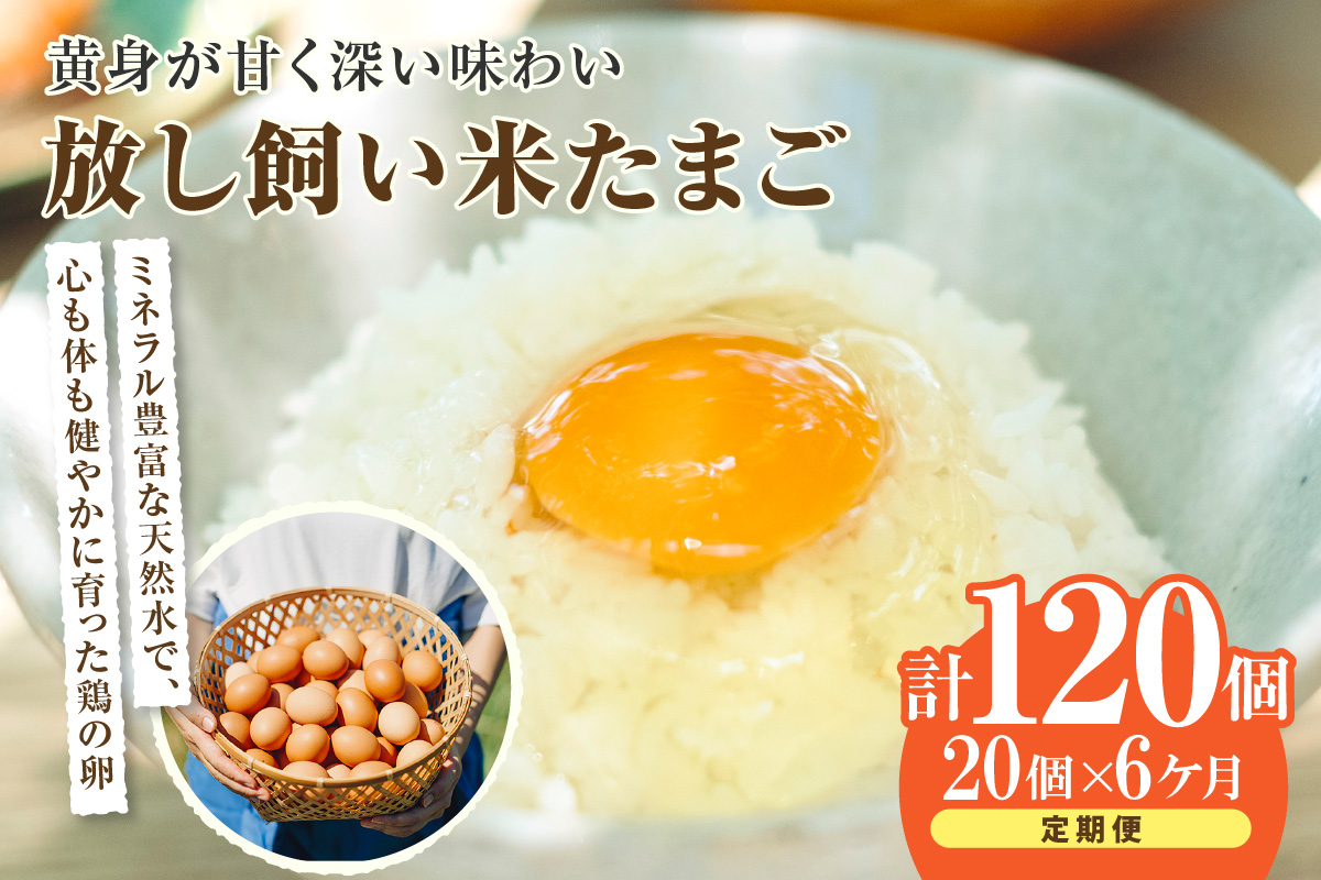 
            【６か月定期便】放し飼い米たまご15個+5個保証（計20個）
          