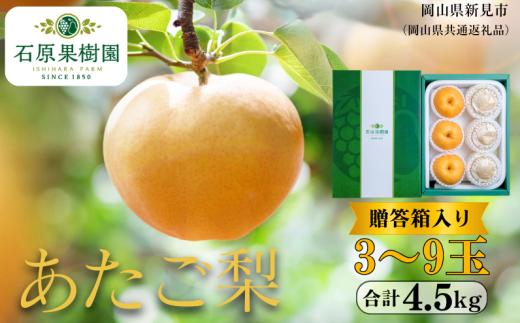 あたご梨 4.5kg 贈答箱 赤秀3～9玉 【先行予約 2026年11月中旬から順次発送】