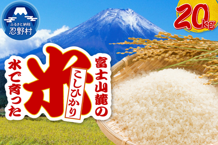 【令和8年度産米】【新米先行予約】【数量限定】忍野村産コシヒカリ（20kg）