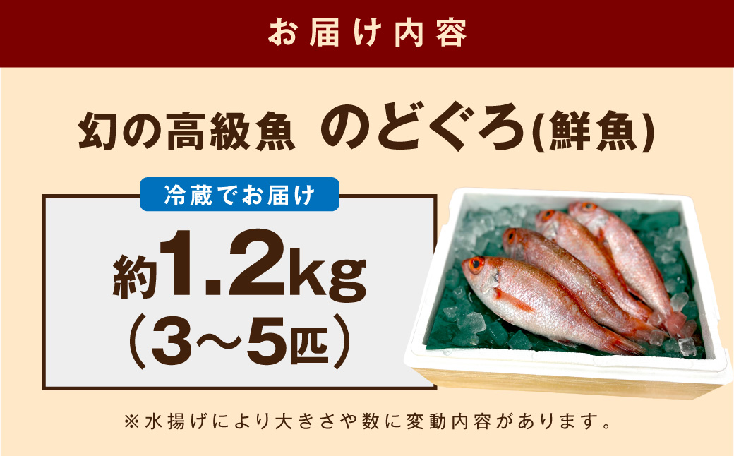 幻の高級魚「のどぐろ（鮮魚）」魚介 のどぐろ 鮮魚 高級魚 ふるさと納税 のどくろ 魚 のどぐろ 旬 期間限定 鮮魚 のどぐろ 【006_2041】