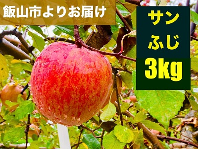 【先行予約】サンふじ【約3kg（6-14個】(Aa-1)