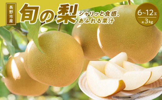
                  長野市産 梨 3kg（6～12玉）【2026年9月上旬以降発送予定】(さらしな青果) | 梨 人気 おすすめ フルーツ 果物 なし ナシ 和梨 長野県 長野市 信州 信濃 ふるさと納税
                