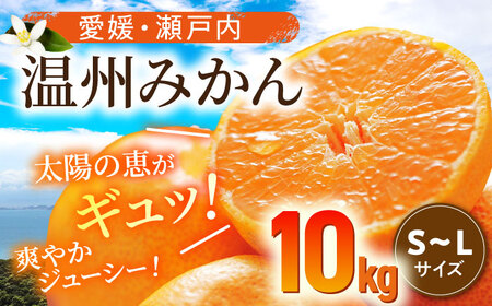 温州みかん 10kg 沢井青果[AGBN016] みかんみかんみかんみかんみかん
