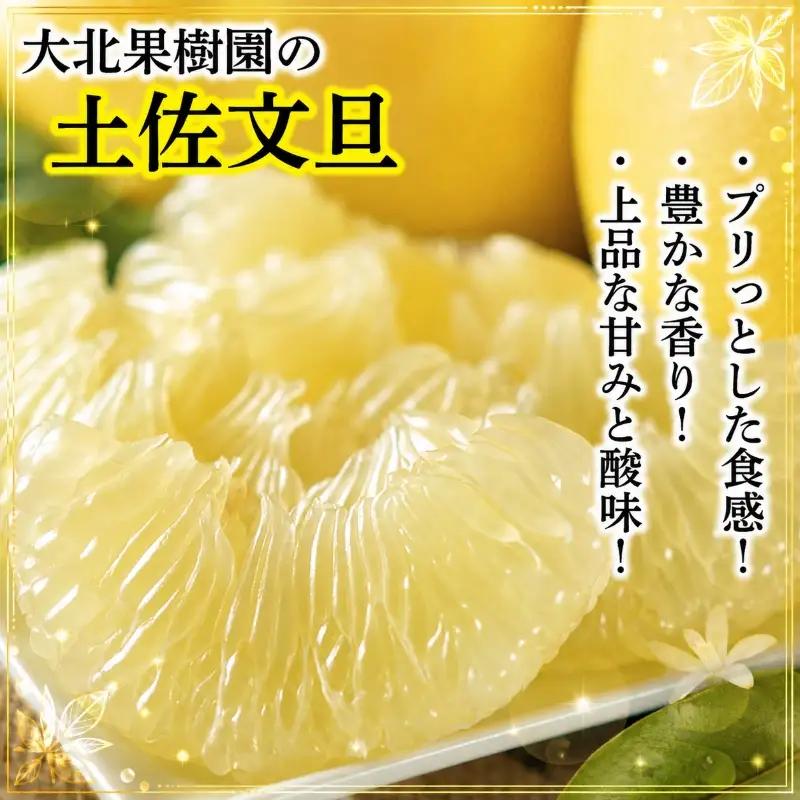 【訳あり】文旦 2L 6玉 土佐文旦 大北果樹園